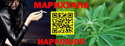шишки Изобильный