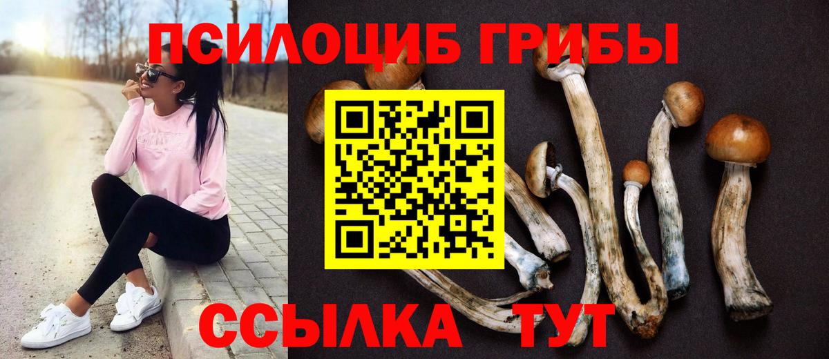 дарнет шоп  Вход с VPN  Псилоцибиновые грибы Psilocybe  Лесной  Галлюциногенные грибы Psilocybine cubensis 
